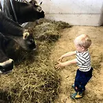 Gospodarstwo agroturystyczne Bioberghof Rohr