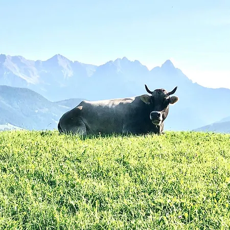 Farmház Bioberghof Rohr