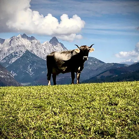 Bioberghof Rohr * פיברברון