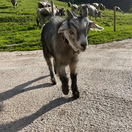 בית חווה Bioberghof Rohr