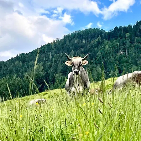 Bioberghof Rohr * פיברברון