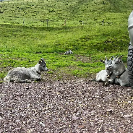 Bioberghof Rohr בית חווה