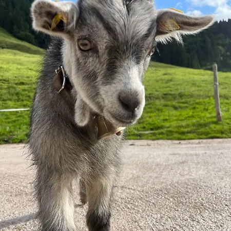 בית חווה Bioberghof Rohr פיברברון