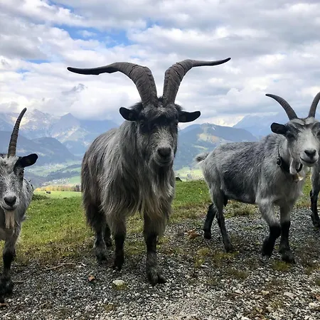 Bioberghof Rohr * פיברברון