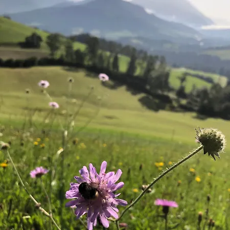 Bioberghof Rohr פיברברון