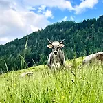 Bioberghof Rohr * Fieberbrunn