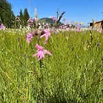 Bioberghof Rohr Bauernhof *