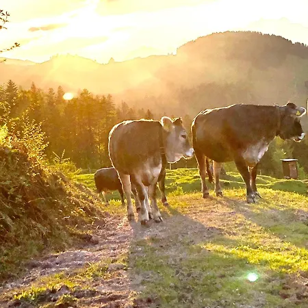 Gospodarstwo agroturystyczne Bioberghof Rohr Fieberbrunn