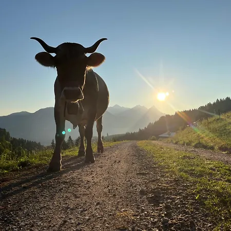 Bioberghof Rohr Farm stay Fieberbrunn