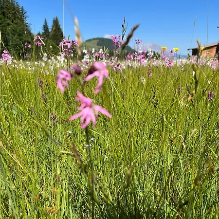 Bioberghof Rohr Farm stay *