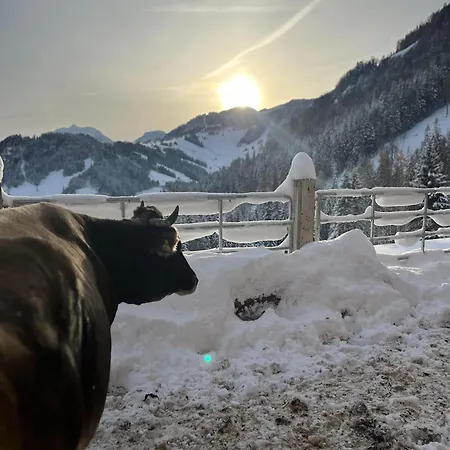 Bioberghof Rohr Farm stay Fieberbrunn